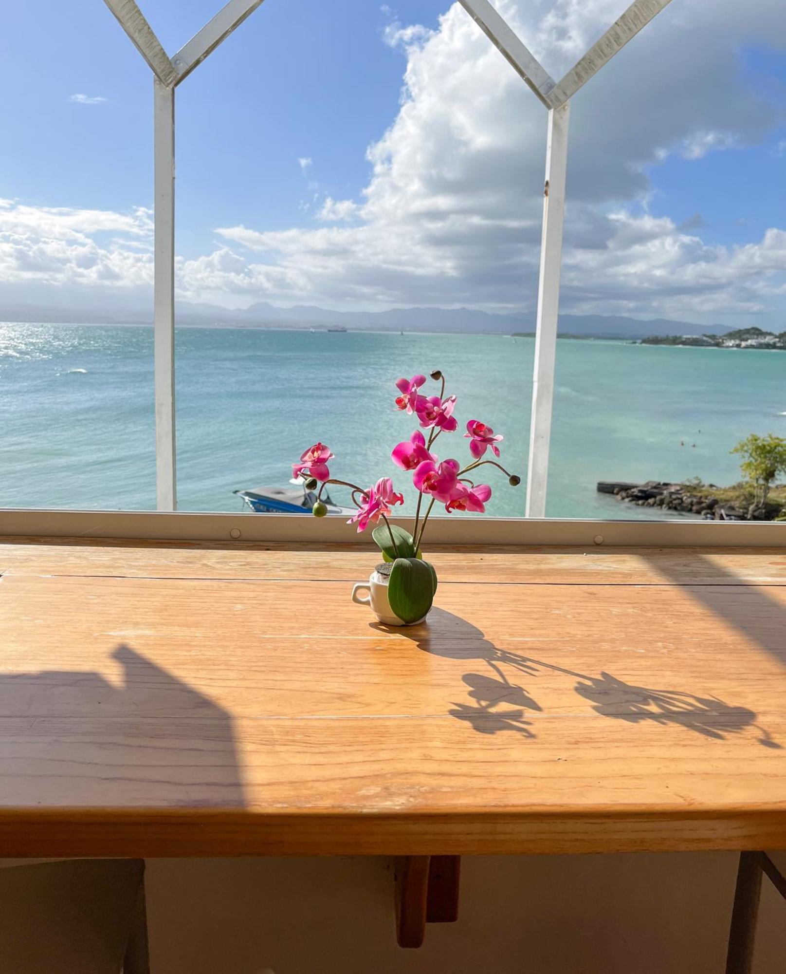 Appartement Les Yuccas, Vue Sur La Mer Et Les Montagnes Le Gosier  Dış mekan fotoğraf